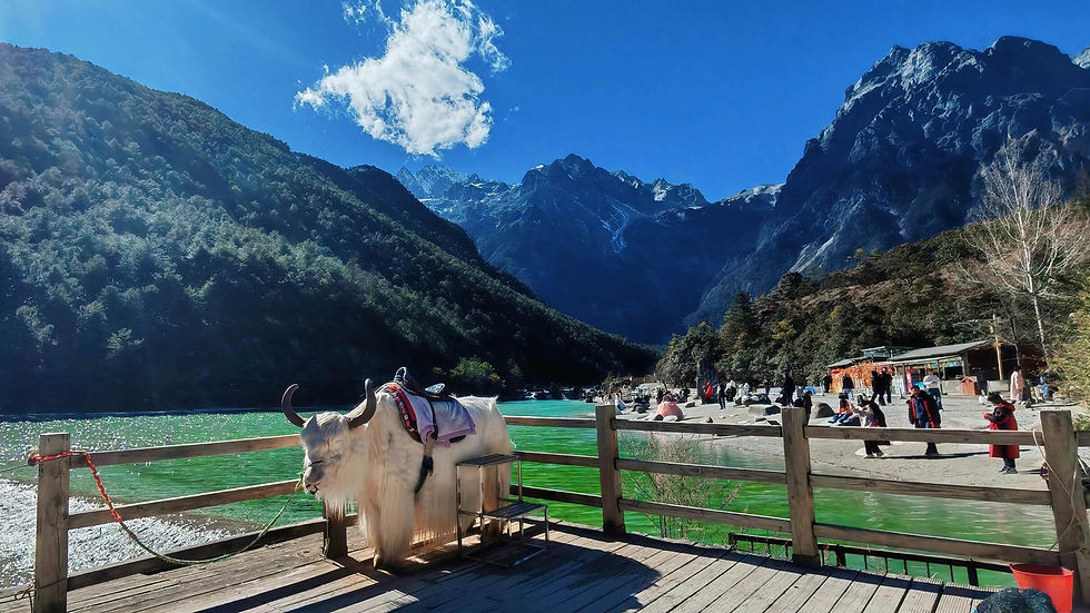 Imej kecil: Blue Moon Valley, Lijiang