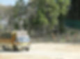 Thumbnail: Tram Drive through Wild Savannah