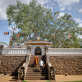 Sri Lanka Jaya Sri Maha Bodhi
