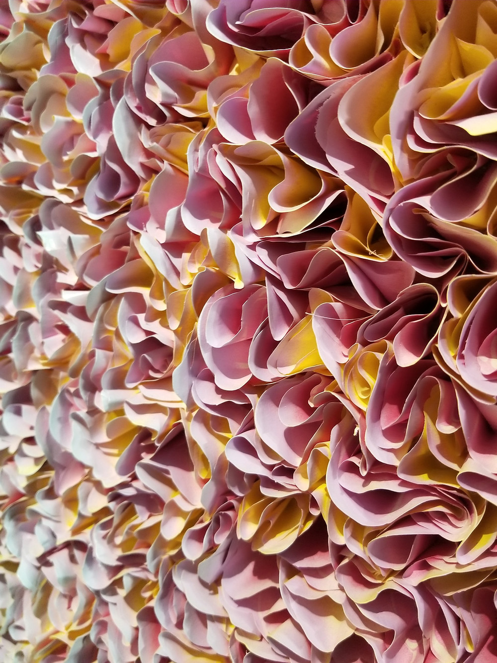 Context at Miami Art Week
