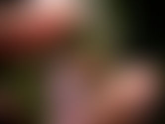 Kersten+Kris | Belize Wedding Photography