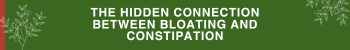 difference between bloating and constipation