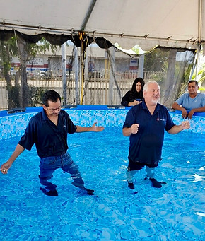 imagejpeg_0 (12).jpg