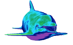 5d064c_49f2a5b14bea46e9ad69d8ac16c59fd0.