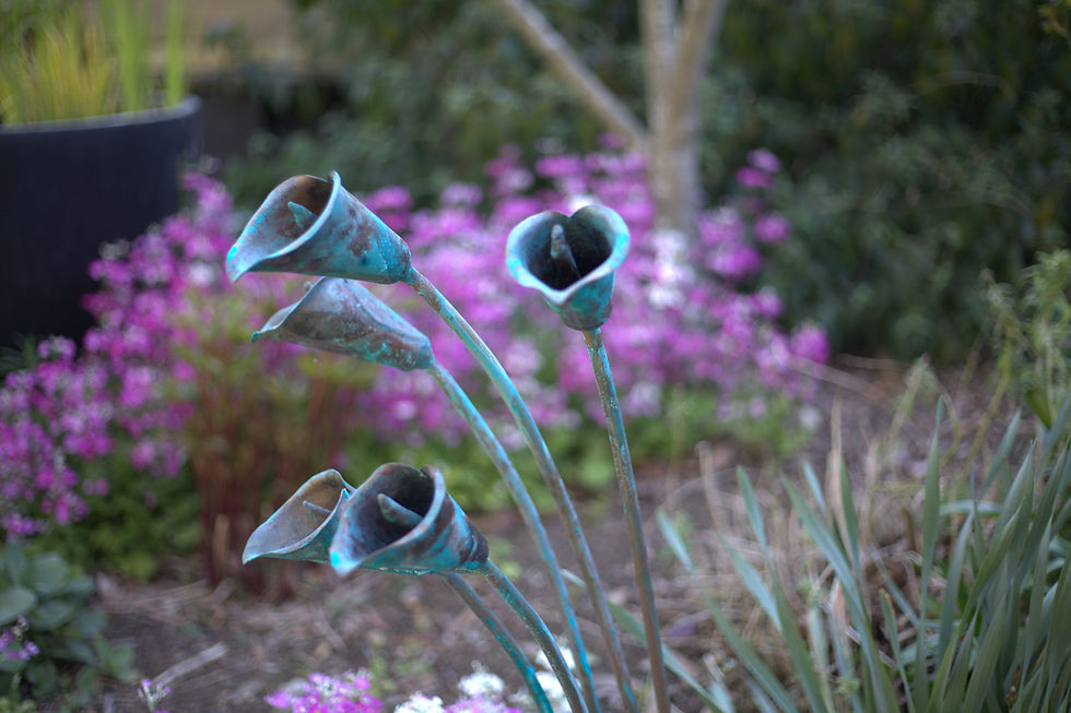 Thumbnail: 5 Flower Arum