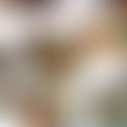 How to Throw a Dinner Party Like a Pro