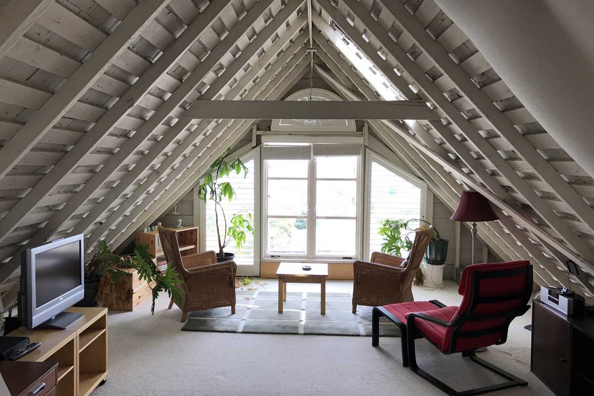 Rabbit attic extreme slut pussy