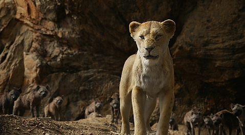 aleksandar-jovanovic-1-the-lion-king-0 1.png