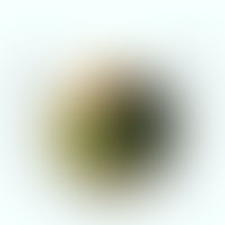 HOUSING OPPORTUNITY — (Native American Populations only)