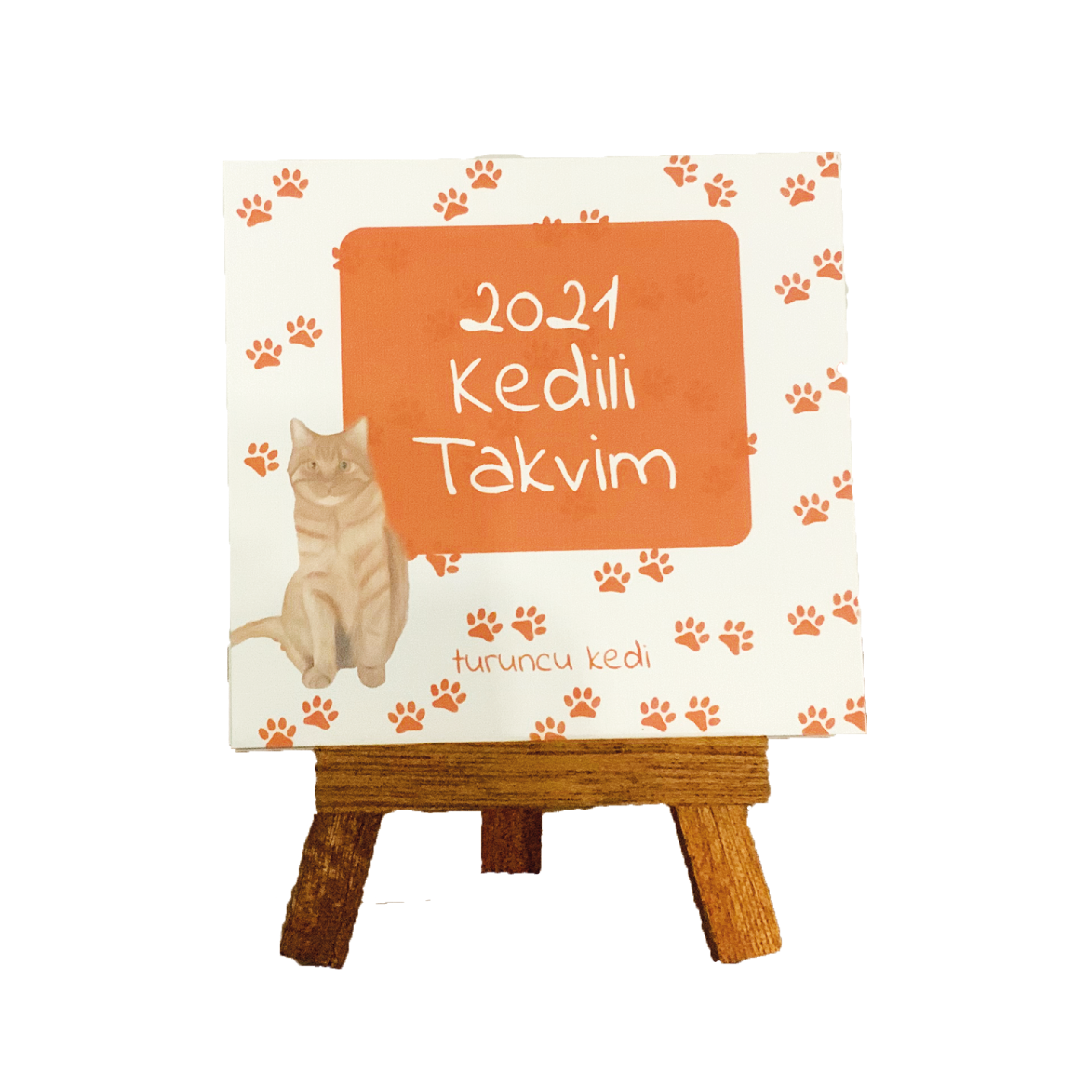 Yeni Yil Seti Turuncu Kedi