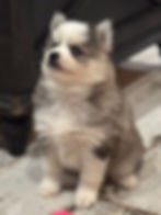 image5.jpeg
