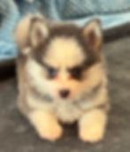 image2.jpeg