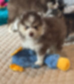 image0.jpeg