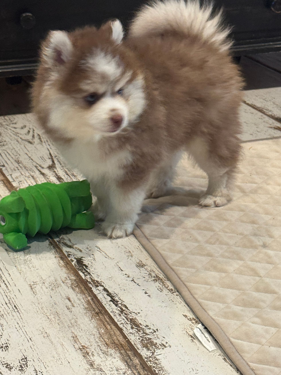 image2.jpeg