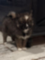 image0.jpeg
