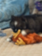image4.jpeg