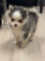 image2.jpeg