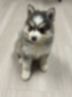 image3.jpeg
