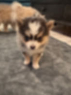 image3.jpeg