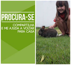 Desaparecido
