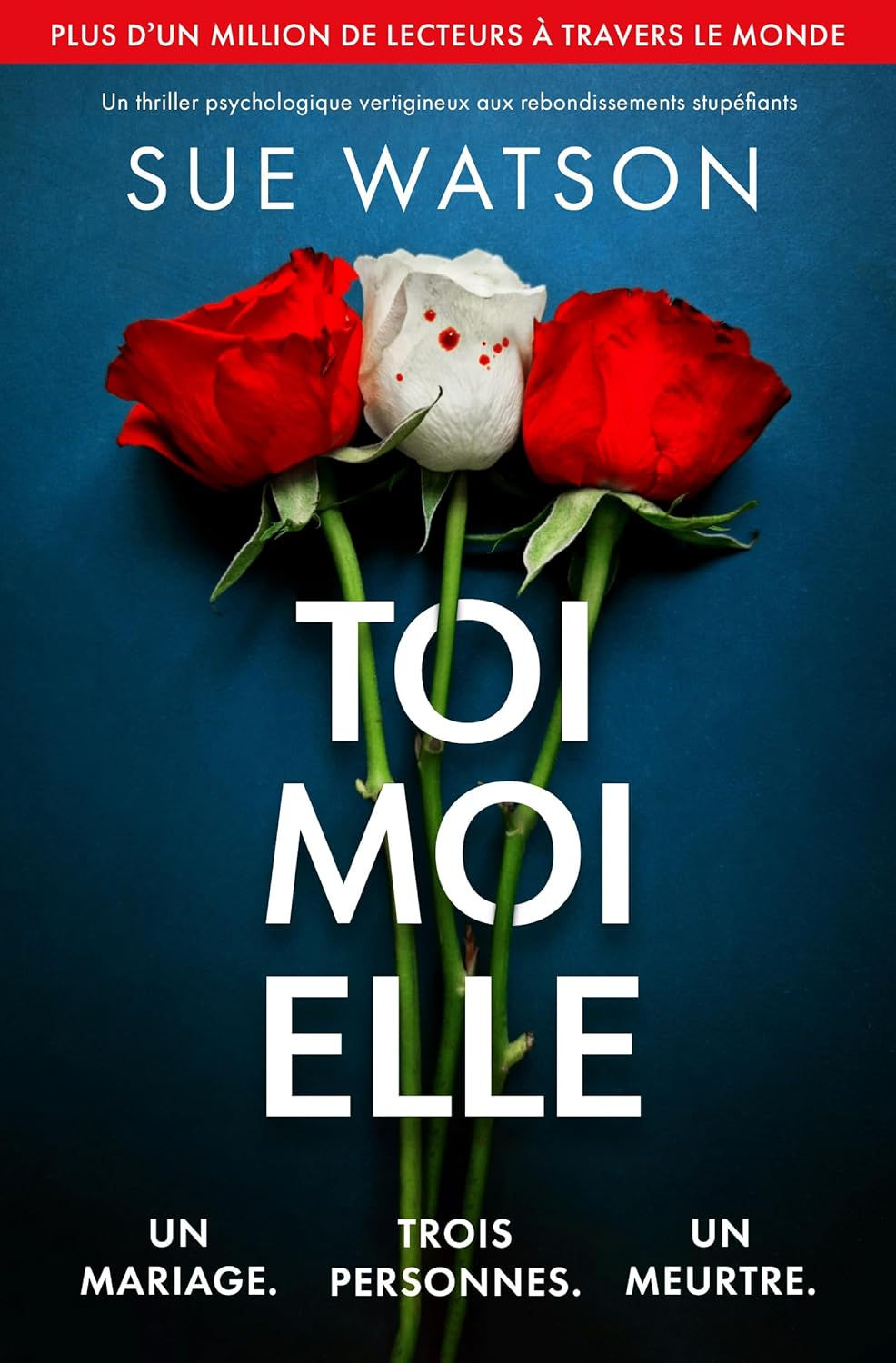 Toi Moi Elle de Sue Watson
