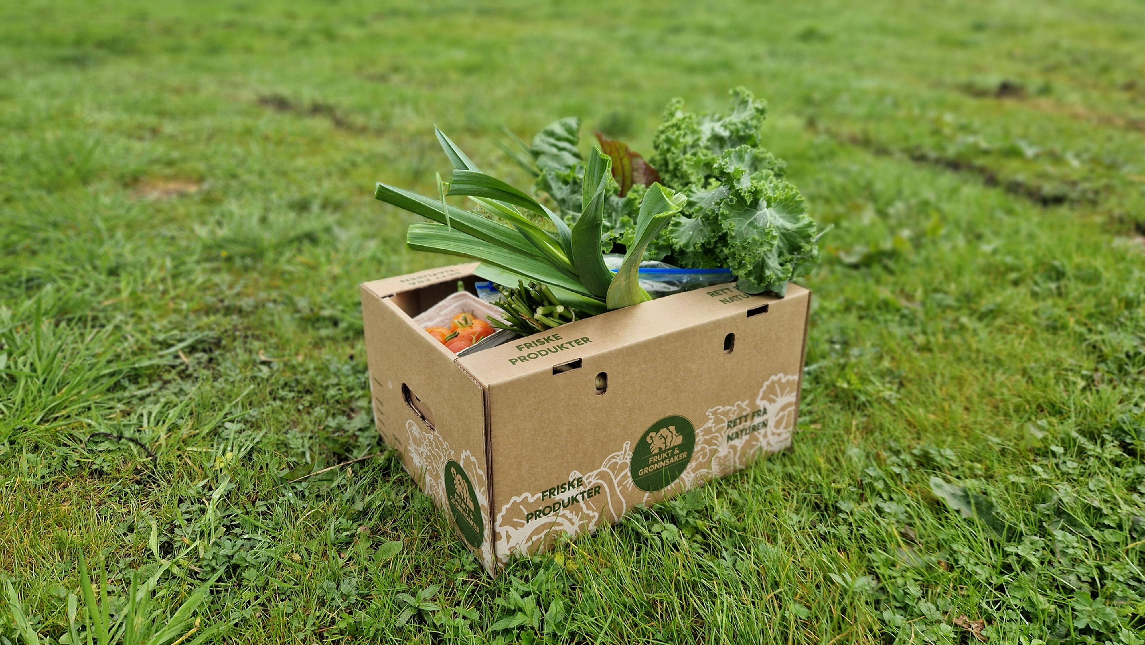 Grønnsakskasser // Uvasket