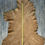 Thumbnail: Deer Buckskin Hide - 35