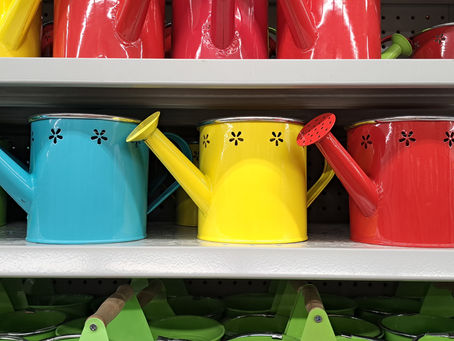 Noua dată de începere