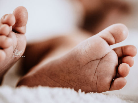 Newborn Shooting im Weinviertel