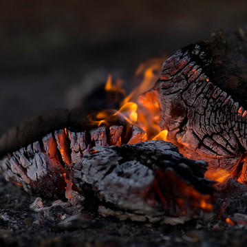 Screenshot 2025-01-13 at 11.22.36 AM.png