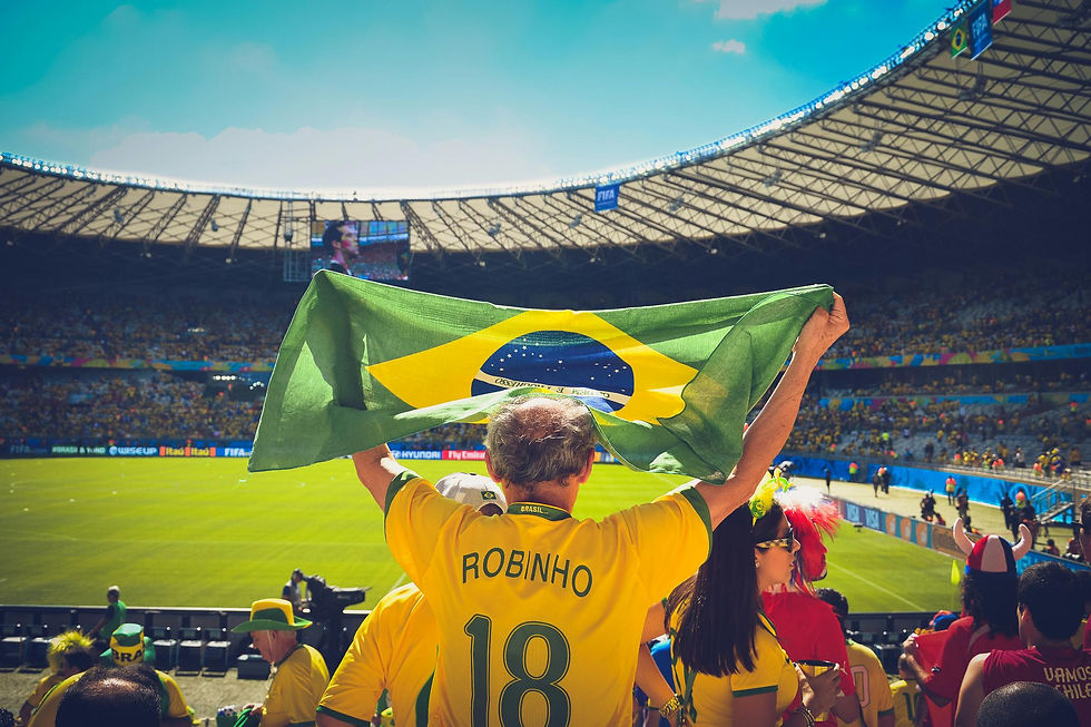 Brazil fans celebrating World Cup match with flags in stadium