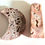 Thumbnail: Duo agate crazy lace druzy *2