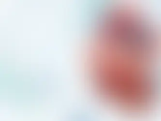 Ilustração anatômica em 3D de um coração humano em conteúdo de Cardiologia da Clínica Agiliza Med