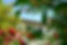 DSCF0459.JPG