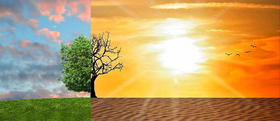 ree