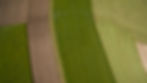 DJI_0055 (AGRO1).jpg