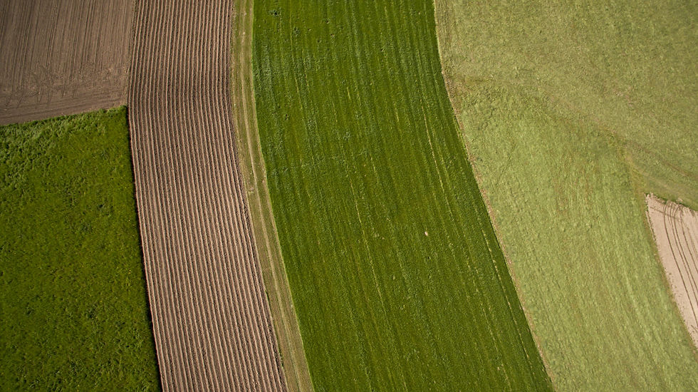 DJI_0055 (AGRO1).jpg