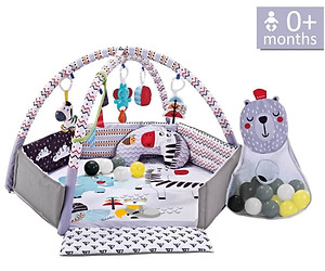 Play gym zebra