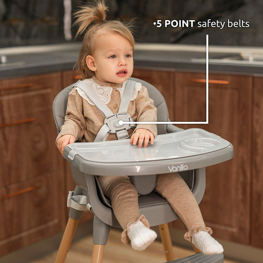 5 point-safety belts