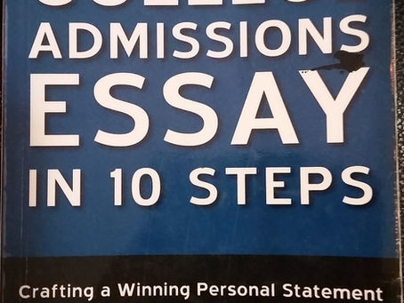 An Excellent College Essay Book