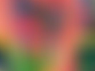 Welcome to my website!