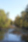 IMG_0978.jpeg