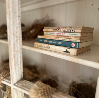 close up nest cabinet.jpeg