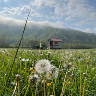 IMG_3435.jpeg