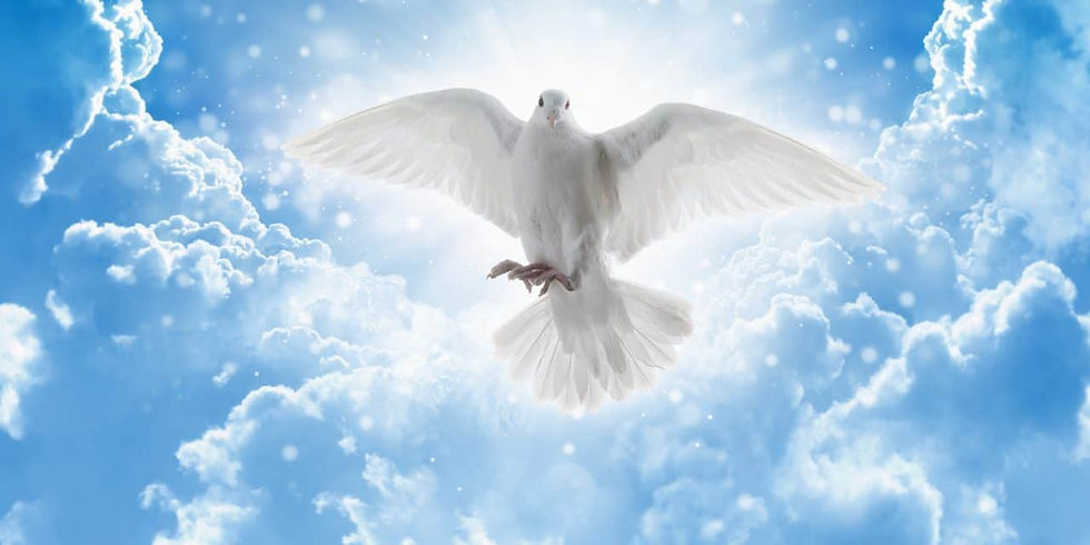 Dove