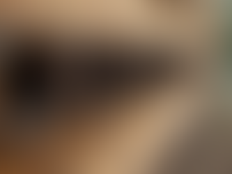 Spotting Termite Damage Indicators in Your Home