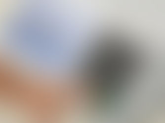 TSE restringe porte de armas em locais de votação nos dois turnos da eleição