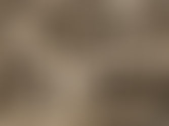 Como regularizar um conjunto de casas junto ao RGI? Regras Extrajudiciais do Rio de Janeiro