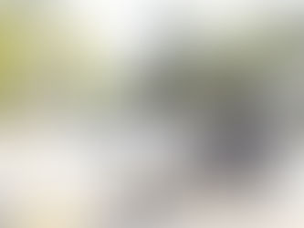 Previdência social e seguro são itens essenciais para mototaxistas