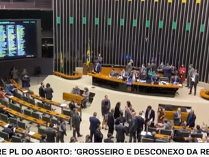 OAB forma parecer sobre PL do aborto: 'Grosseiro e desconexo da realidade'